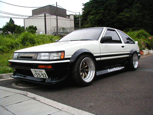 levin-of2.jpg